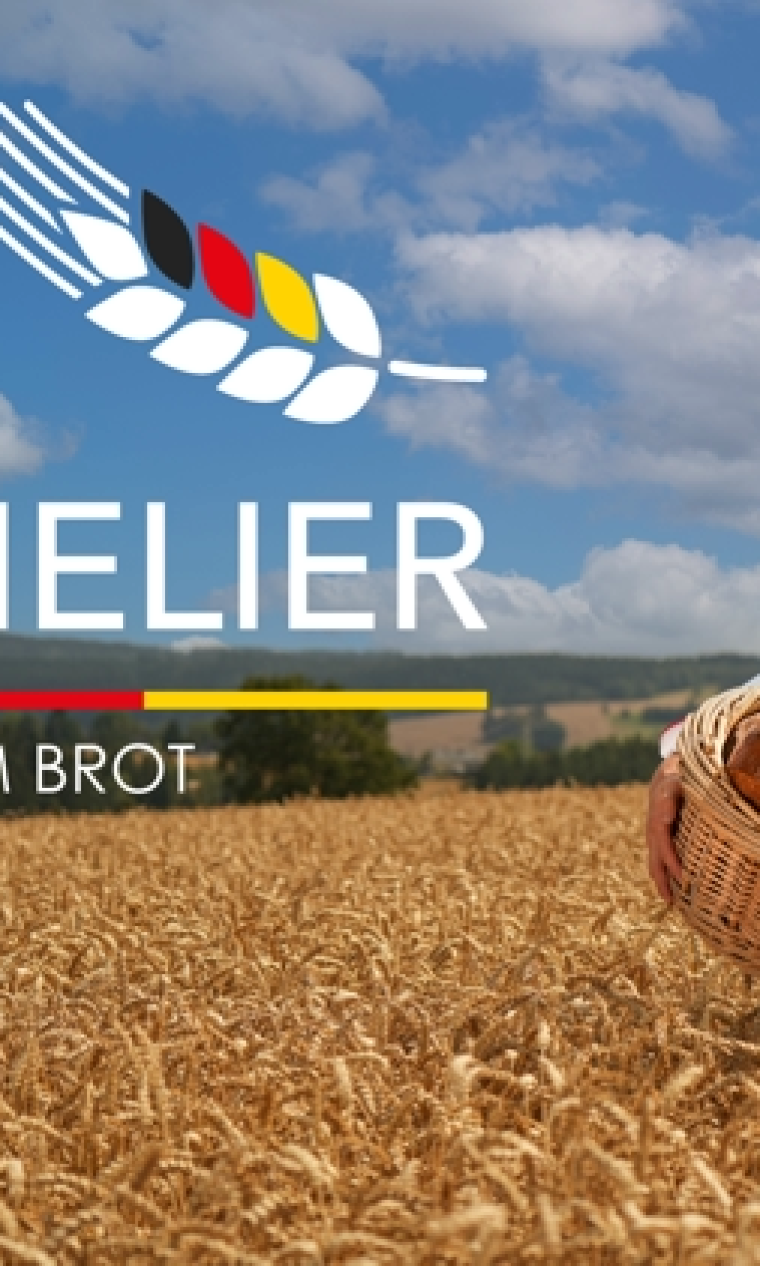 Produktfotos für einen Brotsommelier